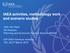 IAEA activities, methodology work and scenario studies