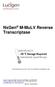NxGen M-MuLV Reverse Transcriptase