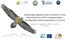 Assessing progress toward success of local reintroductions within metapopulation: the Bearded vulture restoration in France