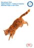 Recruitment Pack Digital Producer -- Testing & Analytics Battersea Dogs & Cats Home