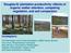 Douglas-fir plantation productivity: effects of organic matter retention, competing vegetation, and soil compaction