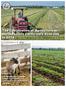 The Contribution of Agriculture to Northeastern California s Economy in 2014