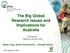 The Big Global Research Issues and Implications for Australia