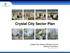Crystal City Sector Plan. Crystal City Citizens Review Council Briefing Presentation June 28, 2017