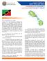 CELP PROFILE Saint Kitts and Nevis CARIBBEAN EMERGENCY LEGISLATION PROJECT (CELP)