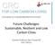 Future Challenges: Sustainable, Resilient and Low Carbon Cities