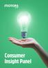 Consumer Insight Panel