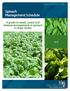 Spinach Management Schedule