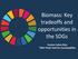 Biomass: Key tradeoffs and opportunities in the SDGs. Ivonne Lobos Alva TMG Think Tank for Sustainability