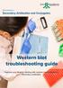 Western blot troubleshooting guide