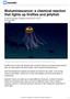 Bioluminescence: a chemical reaction that lights up fireflies and jellyfish