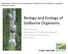 Biology and Ecology of Soilborne Organisms