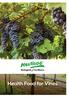 Health Food for Vines
