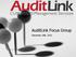 AuditLink Focus Group. December 18th, 2012