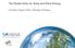 The Global Atlas for Solar and Wind Energy. Carsten Hoyer-Klick, Nicolas Fichaux