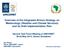 Overview of the Integrated African Strategy on Meteorology (Weather and Climate Services) and its Draft Implementation Plan
