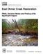East Ohmer Creek Restoration