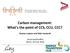 Carbon management: What's the point of CCS, CCU, CCC? Gunnar Luderer and Falko Ueckerdt