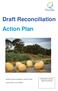 Draft Reconciliation Action Plan