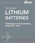 Technical Guide: LITHIUM BATTERIES. Packaging and Documenting Shipments Share This Ebook!