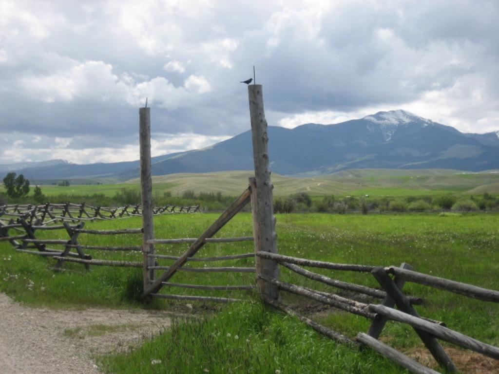 Grant Kohrs Ranch Fence Report Philip B. Davis Dr.