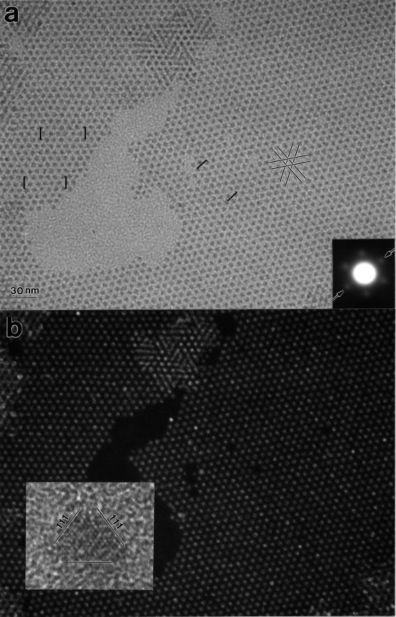 Fig. 2. a) Bright-field and b) dark-field TEM image of a monolayer assembled superlattice of tetrahedral Ag nanocrystals.