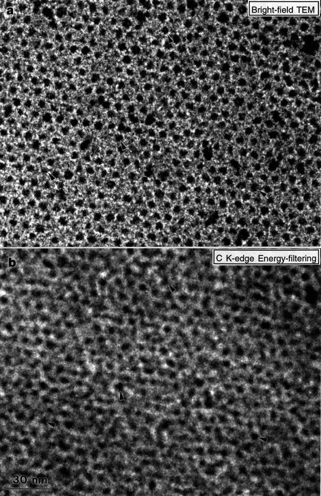 Fig. 3. Bright-field TEM image of a monolayer Ag NCS after the specimen was tilted by 40.