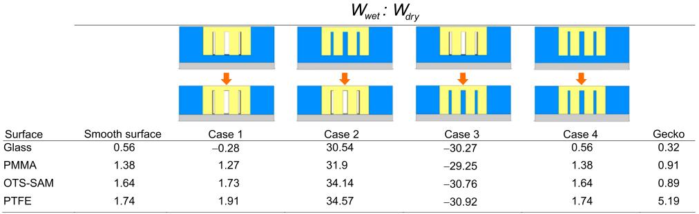 Table 3.2. Ratios of wet to dry adhesion on all four surfaces used in whole-animal experiments and modeling.