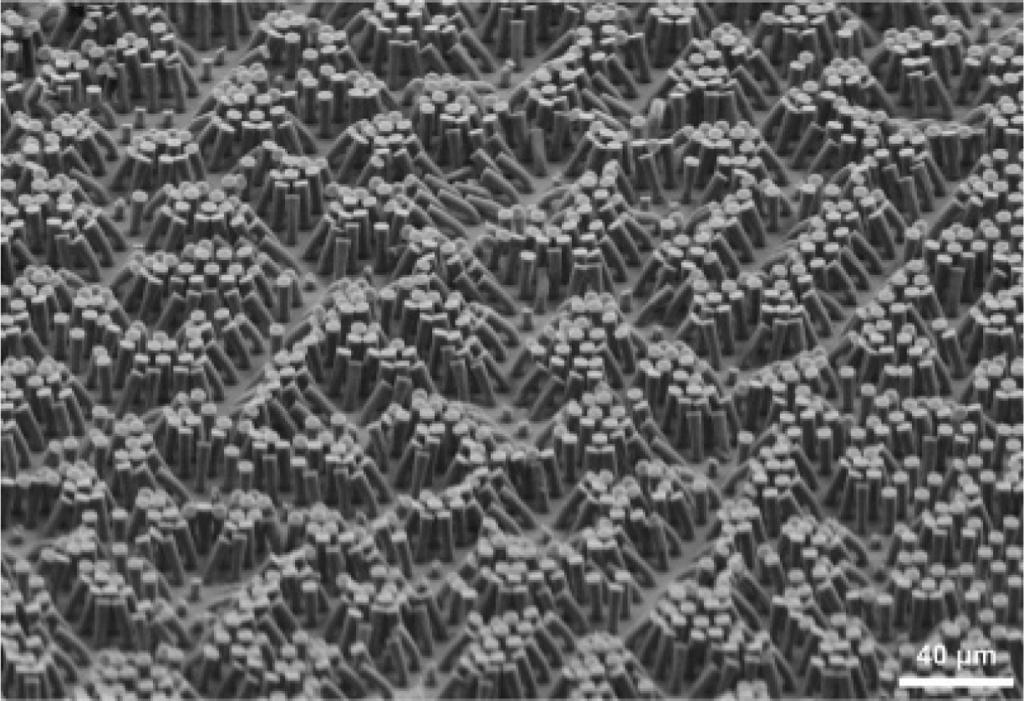 10 1 Gecko-Inspired Nanomaterials Figure 1.7 SEM image showing an array of pillars made by soft - molding Sylgard 184 onto SU - 8 photolithographic templates. The pillars have a radius of 2.