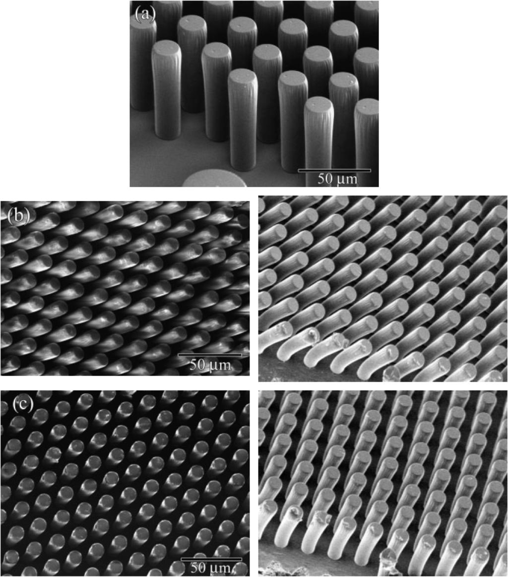 18 1 Gecko-Inspired Nanomaterials Figure 1.11 SEM images of Tecoﬂex pillars with r = 10 μm, h = 100 μm and 20 μm interpillar spacing.