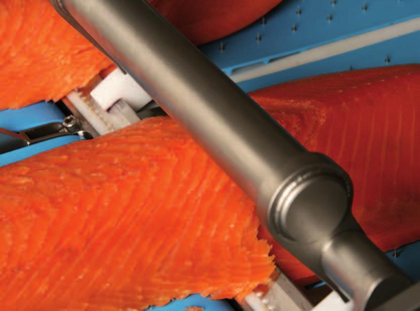 Salmon fresh slicing D-cut slicing
