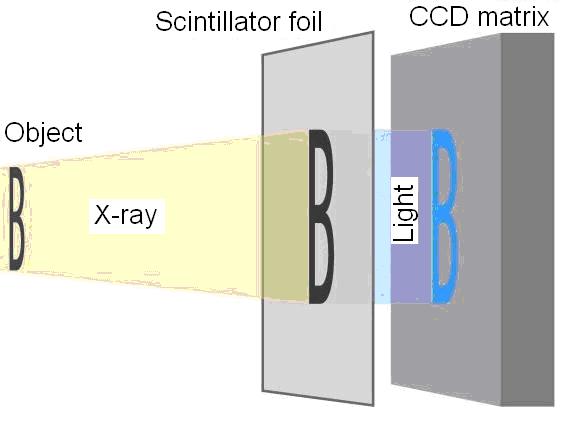 Firstly, X-rays are converted to visible light by a film or scintillation crystal. Then this visible light is received by photodiodes, making possible presentation of the image.