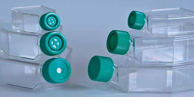PAA offers standard and filter cap cell culture flasks of excellent optical clarity.
