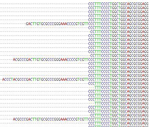 Eukaryotic Promoter Database (EPD) ID HS_RPS19 standard; multiple; VRT. AC EP68002; DT 22-AUG-2001 (Rel. 68, created) DT 19-DEC-2003 (Rel. 77, Last annotation update). DE Ribosomal protein S19.