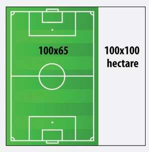 Title Question 3 How fast? a) How large is one hectare? An area 100m x 100m 1/100 th of a square kilometer 1 hectare is 1.