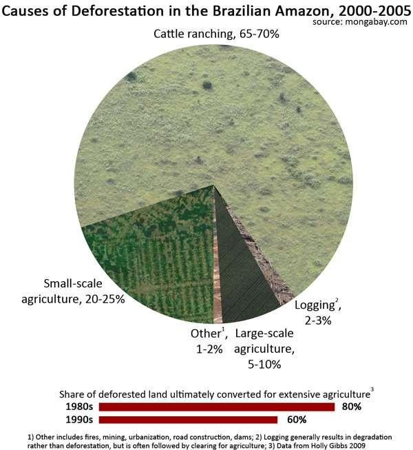 Title Main causes of deforestation This pie chart showing deforestation in the Amazon by cause is based on the median figures for estimate ranges.
