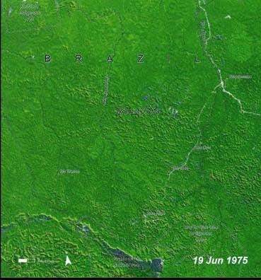 Deforestation: Title Rondonia, Brazil 1975