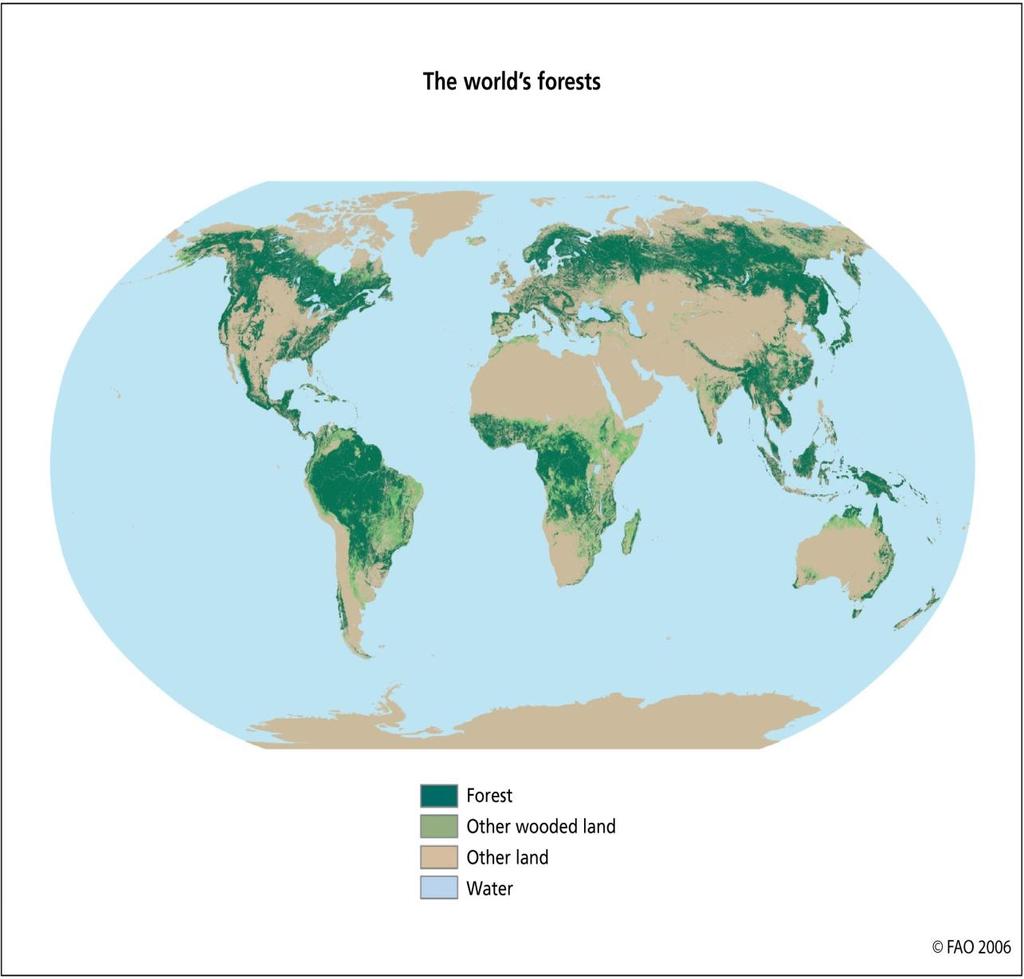 Introduction Global Overview of forests The Total forests area in the world estimated at 3, 952 Billion ha.