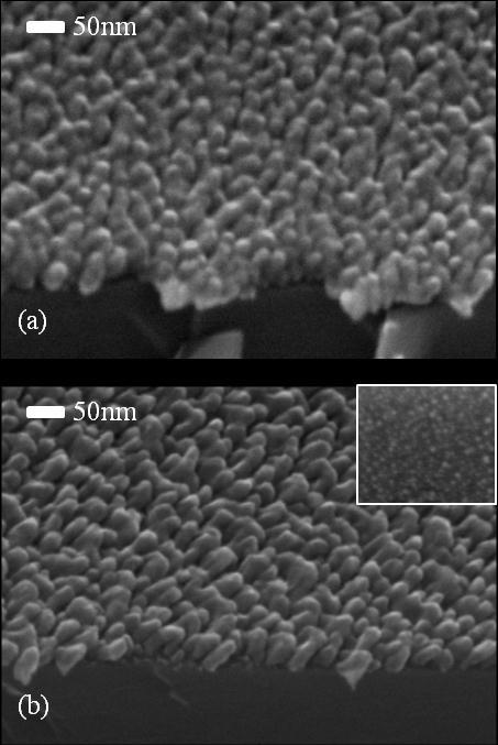 Fig. 2: Scanning electron microscopy (SEM) images of Cu films deposited at 0.