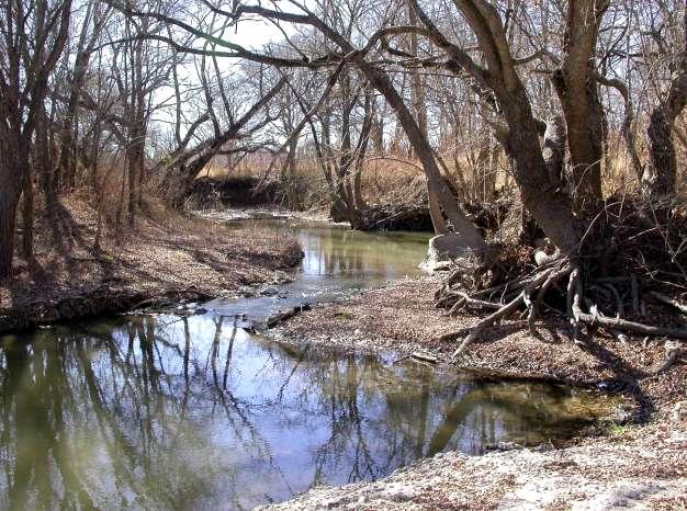 There have been a number of documented WWTF malfunctions in the Plum Creek Watershed.