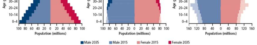 The gap creates a demographic youth bulge resulting in a large share of the population comprised of youth.