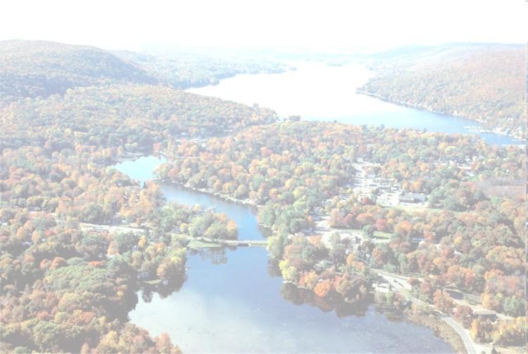 REDUCING NUTRIENT LOADINGS INTO GREENWOOD LAKE Nutrient Loadings within the Belcher Creek Watershed: Purple loosestrife and parrot feather have invaded the shoreline of