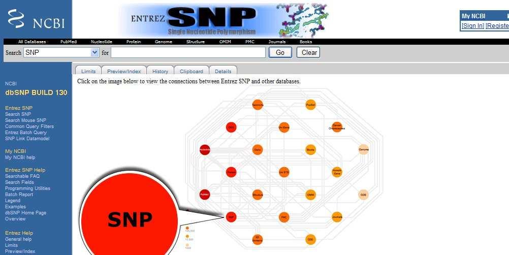NCBI SNPs (http://www.ncbi.nlm.nih.