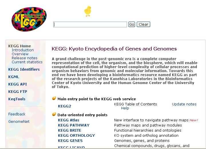 Secondary data bases in detail: KEGG portal
