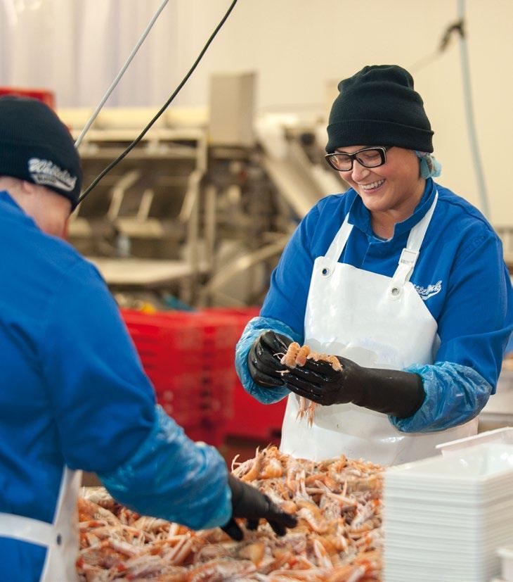 Seafood Processing Industry Report 2016 1 FISH PROCESSING: INDUSTRY STRUCTURE & EMPLOYMENT Section 1 presents findings on the size, structure and recent changes in the UK fish processing industry