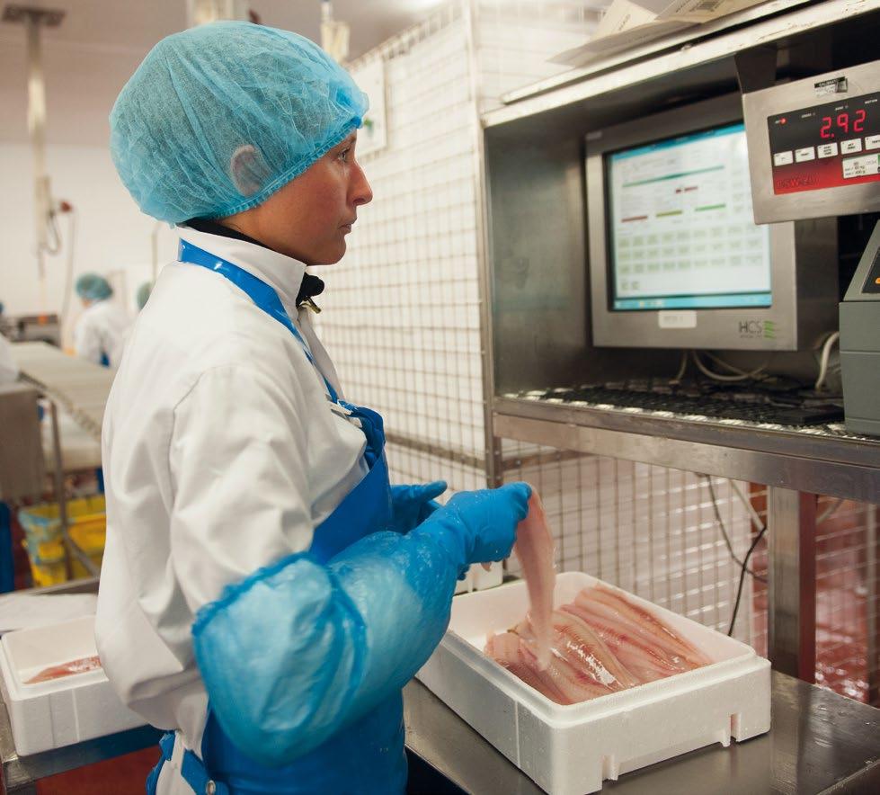 4.2 Operating Environment Seafood Processing Industry Report 2016 What Seafish is doing Seafish has produced guidance documents on the landing obligation which advise on the possible impacts of this