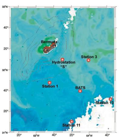 Oceanic Metagenomics Sargasso Sea Data Set [Venter et al, 04] An avid