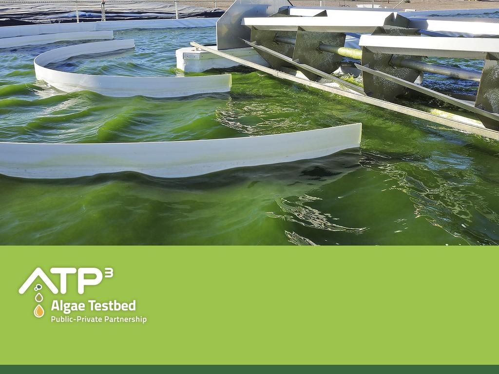Progress and Perspectives of Large Scale Algae Biomass Harvesting: A Case Study at the ATP 3 Testbed Xuezhi Zhang, John McGowen, Milton Sommerfeld