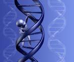 Structure and Function of DNA Molecular Genetics, DNA 5/35