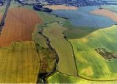 What is Agricultural pollution? http://www.naturegrid.org.uk/rivers/gt%20stour%20case%20studypages/plln frm.